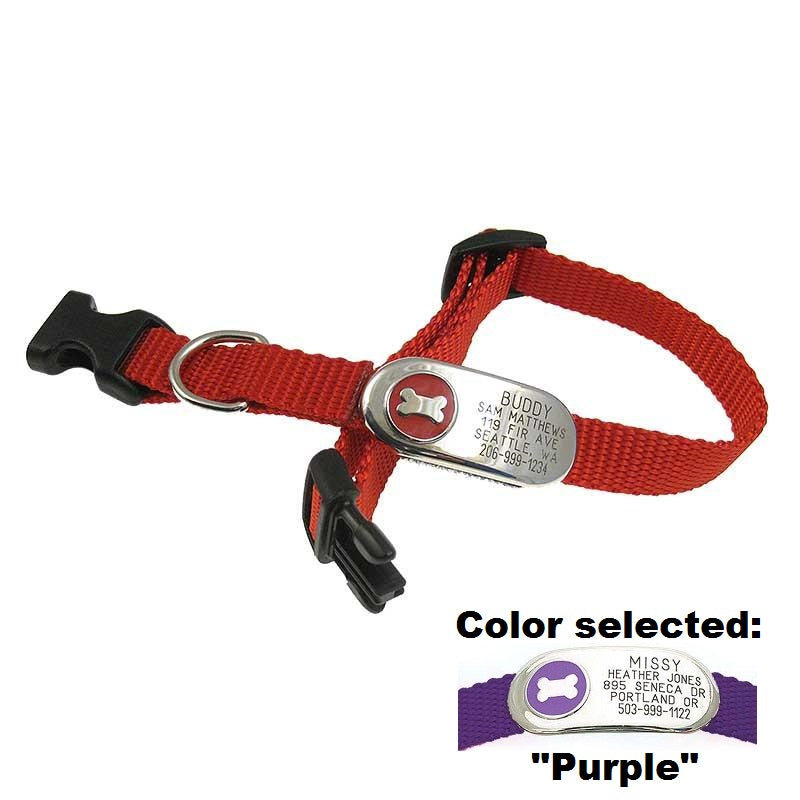 Jewelry ID Collar - Bone, - Lucky Pet